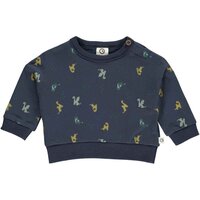 Dragon sweatshirt - Night blue/Pine/Moss/Spa green