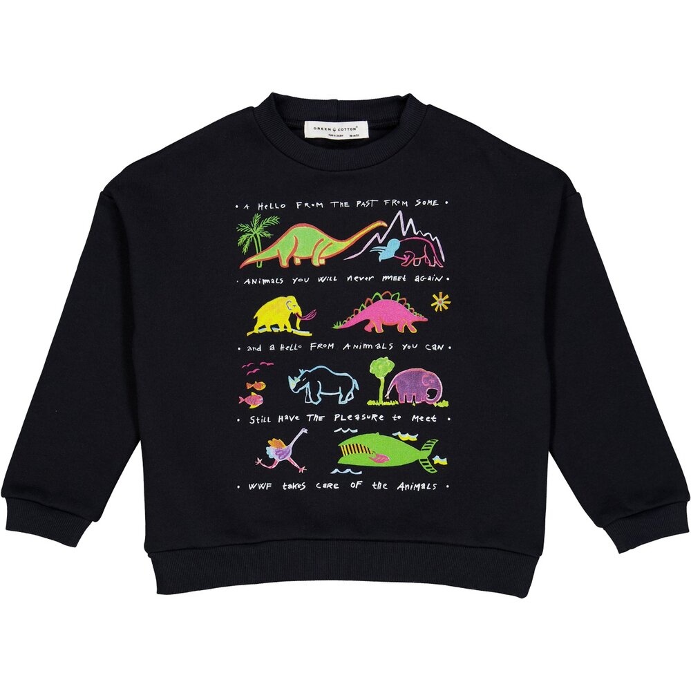 Dinosaur sweatshirt - 116