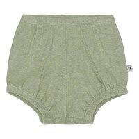 Bay Bloomers / shorts  - LEAF