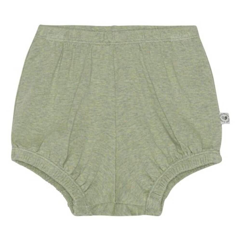 Bay Bloomers / shorts  Leaf  62