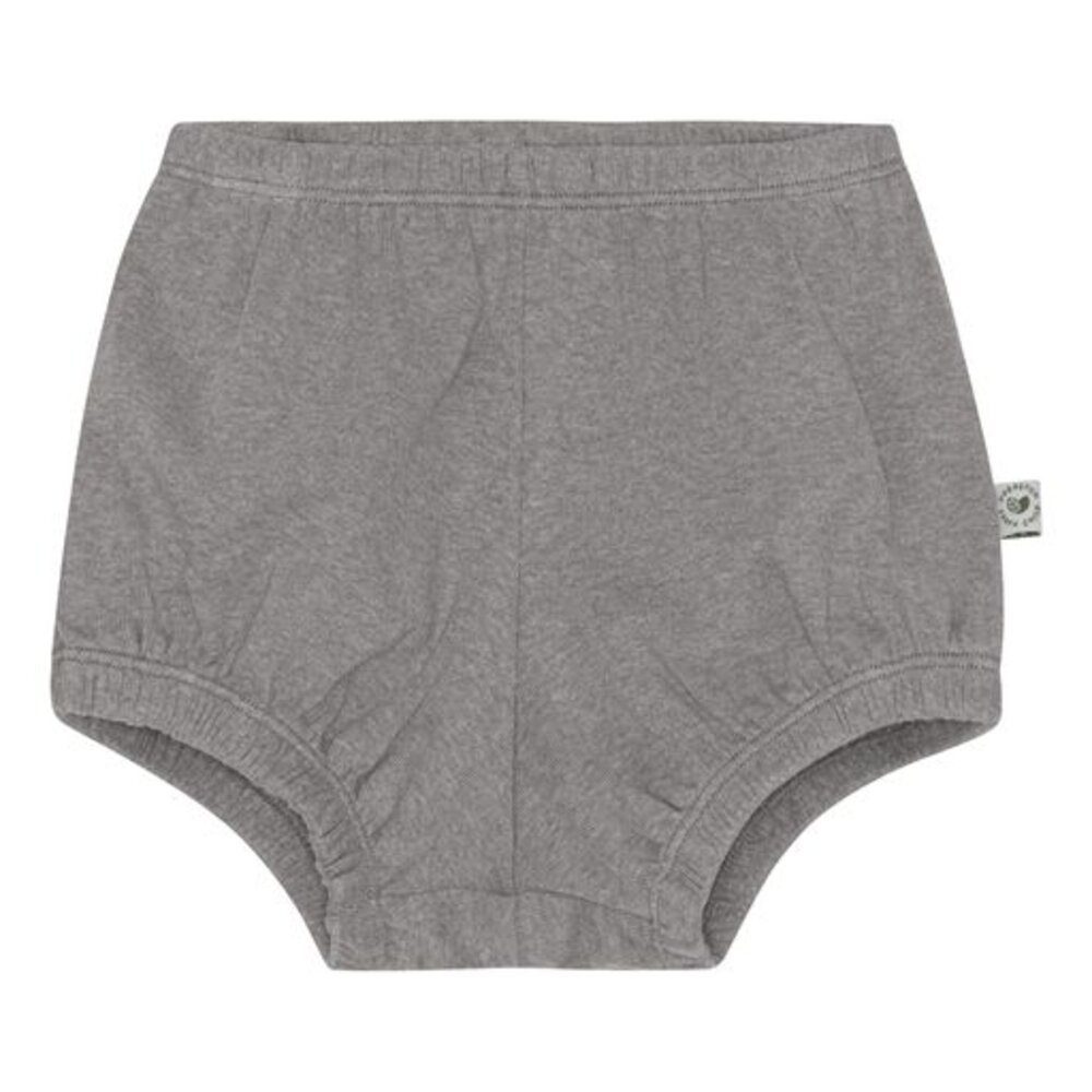 Bay Bloomers / shorts  Ash  66
