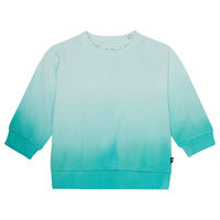 Disc sweatshirt - Pacific Dye