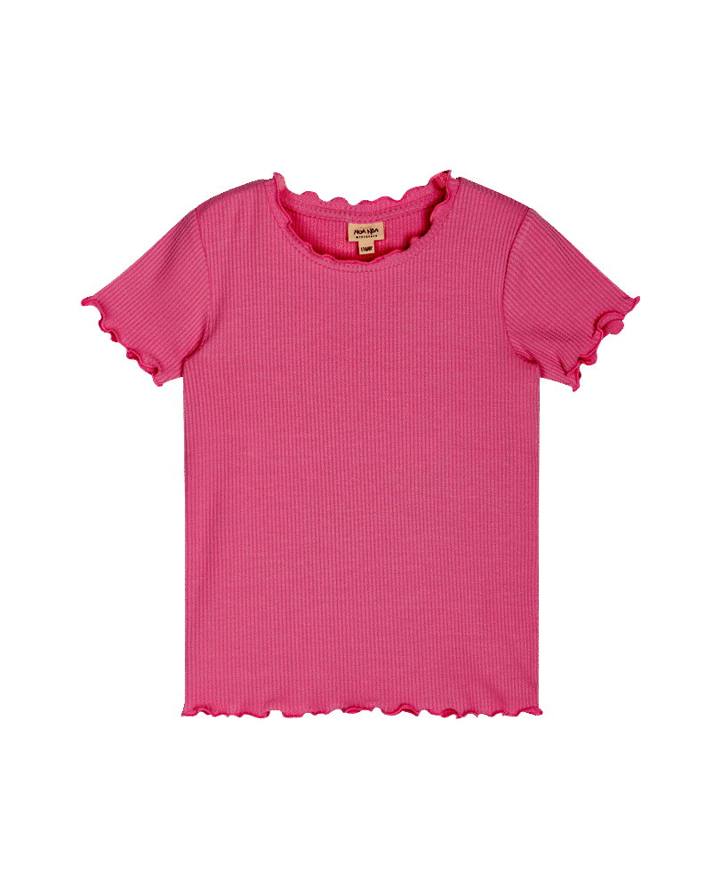 Noa miniature Barbel t-shirt - Mauve Mist 116