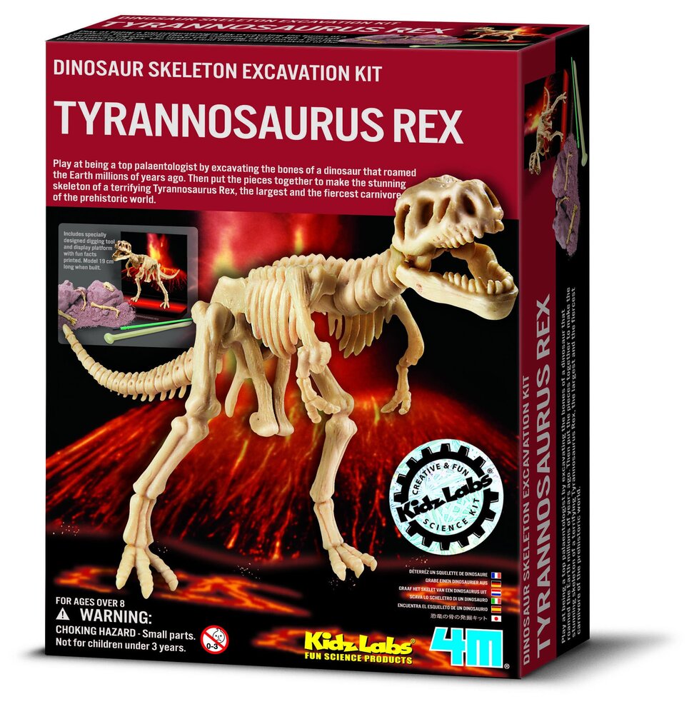 4M Kidz Labs/Dig a T-Rex skeleton