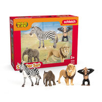 Wild Life "Africa"  Starter Set