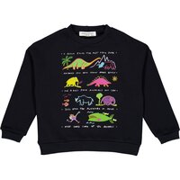 Dinosaur sweatshirt