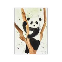 Plakat Pandaen A3