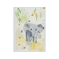 Plakat Baby Elefant 50x70