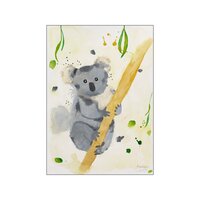 Plakat Koalabjørn A3