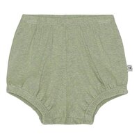 Bay Bloomers / shorts  - Leaf