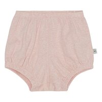 Bay Bloomers / shorts  - Rose