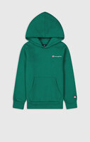 Hooded Sweatshirt - Aventurine